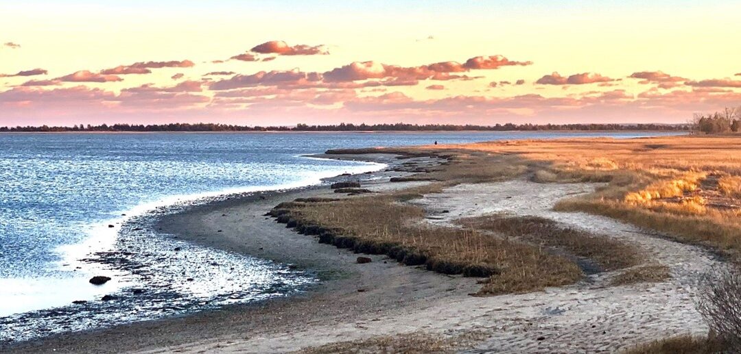 Summer 2024 Newsletter