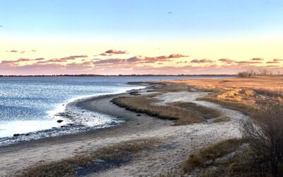 North Fork Priorities Survey