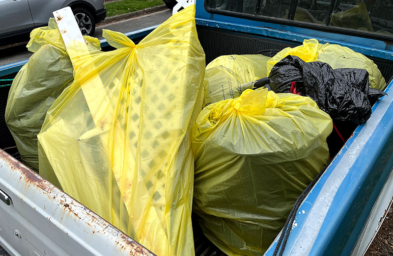 Earth Day Cleanup