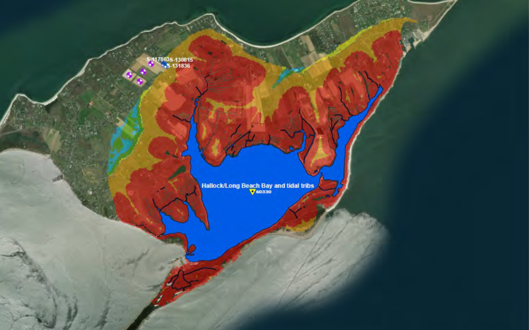 Water Project Preliminary Report