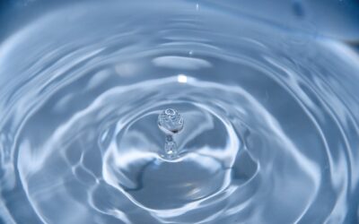 Orient Water Project Recommendations Survey