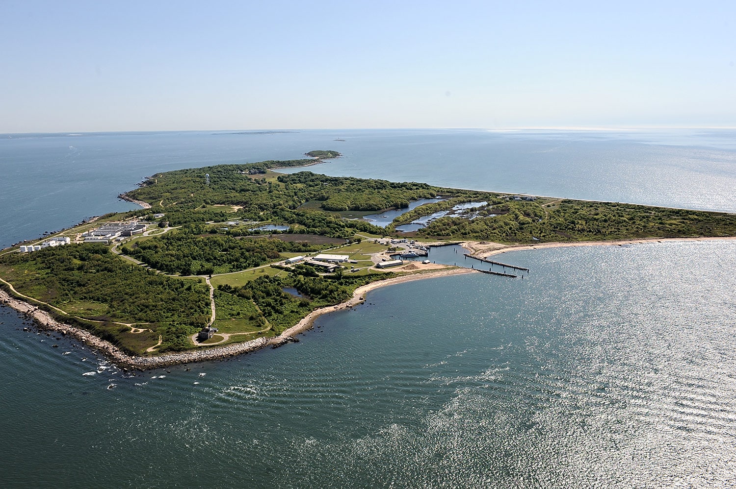 Plum Island Update